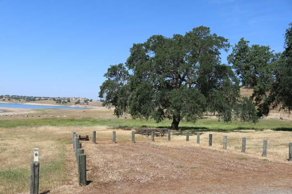 Rabbit Creek Premium 8-Person Camp Site