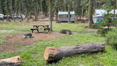 Olive - Tent Only Site — image 1 of 1
