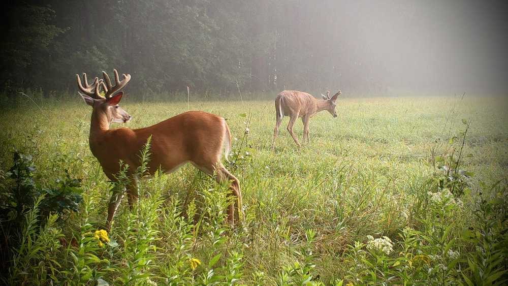 Nature Retreats MN - Grasston, MN - Photo 3