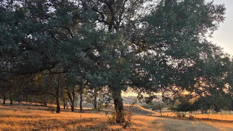 RV Site — image 2 of 34