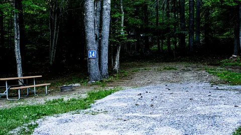 Deluxe Back-In RV Site — image 11 of 11
