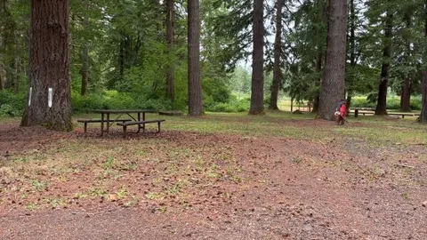 Section D -  Tree Canopy Area — image 2 of 6