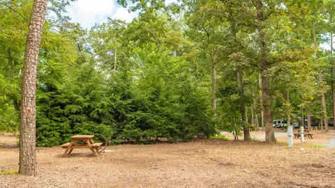 Premium Back-In RV Site — image 1 of 3