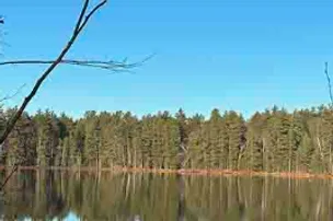 Punch Lake Campground – photo 2