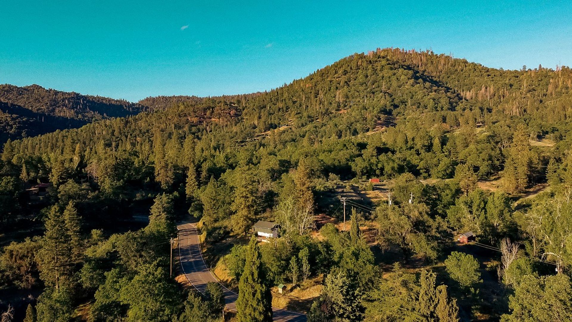 Sequoia Mountain Farms