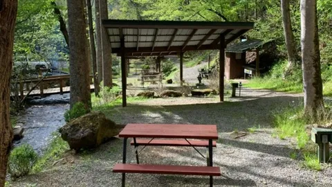 Creekside Sheltered Tent Site W/E — image 1 of 1