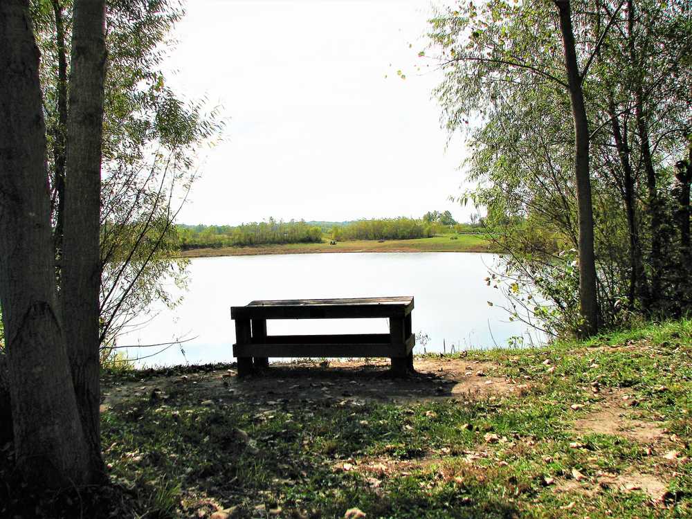 Schildberg Recreation Area Campground - Photo 2