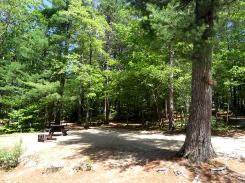 Papoose Pond Family Campground & Cabins Waterford, Maine Campspot