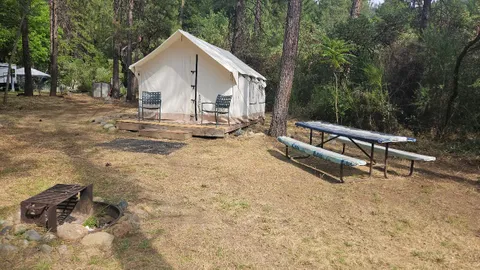 Glamping Tent Knotty Pine — image 2 of 8