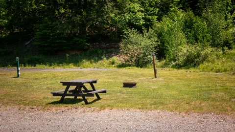 Pull-Thru RV Site — image 4 of 4