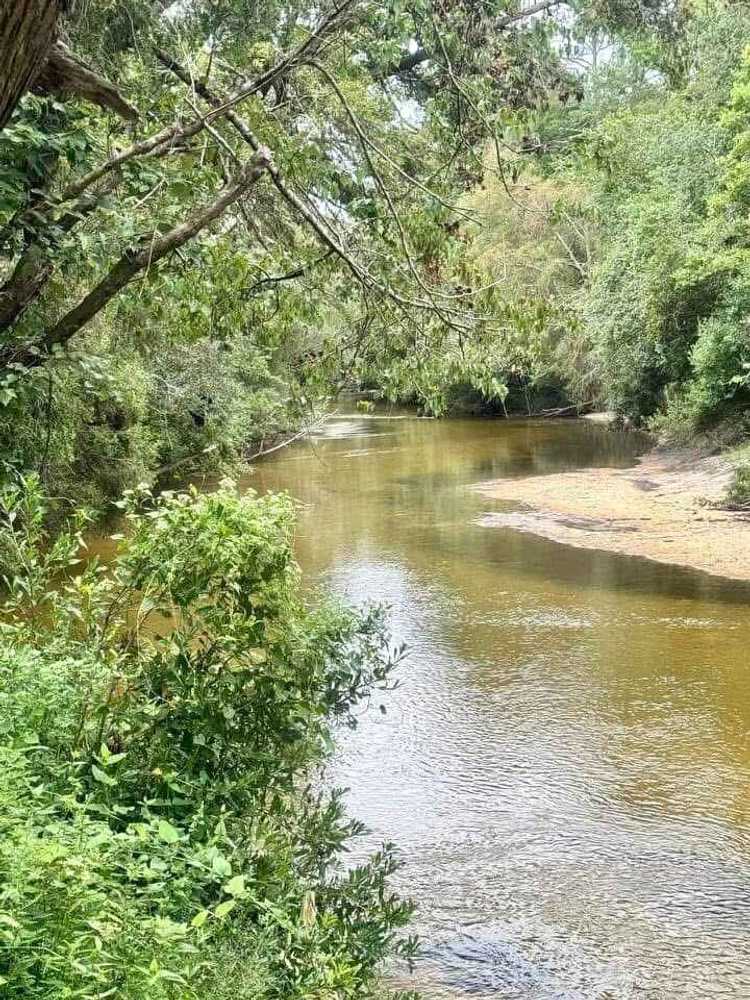 The Retreat on Styx River, Robertsdale, Alabama - Photo 3