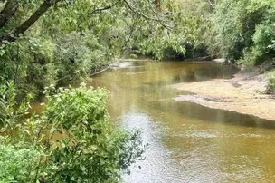 The Retreat on Styx River – photo 3