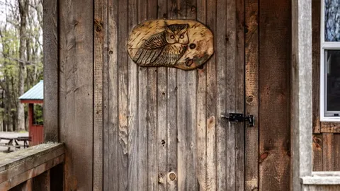 Cabin 5 - Owl — image 8 of 8