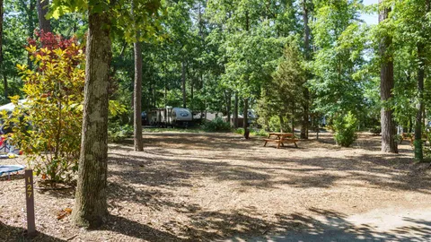 Premium Pull-Thru RV Site — image 2 of 5