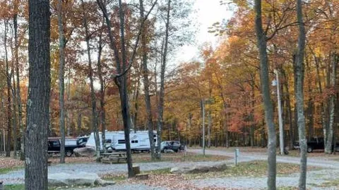 30/50 Amp Deluxe Pull-Through RV Site — image 2 of 5