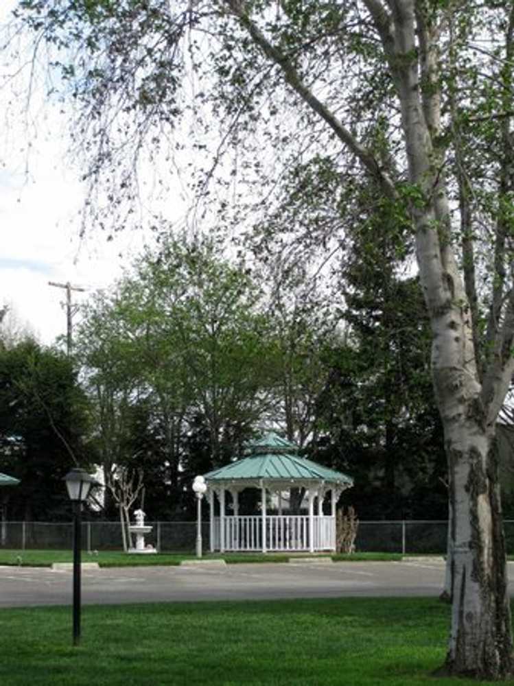 Almond Tree RV Park, Chico, California - Photo 5