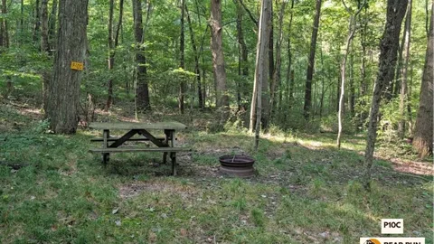 Primitive Walk In Tent Site — image 22 of 22