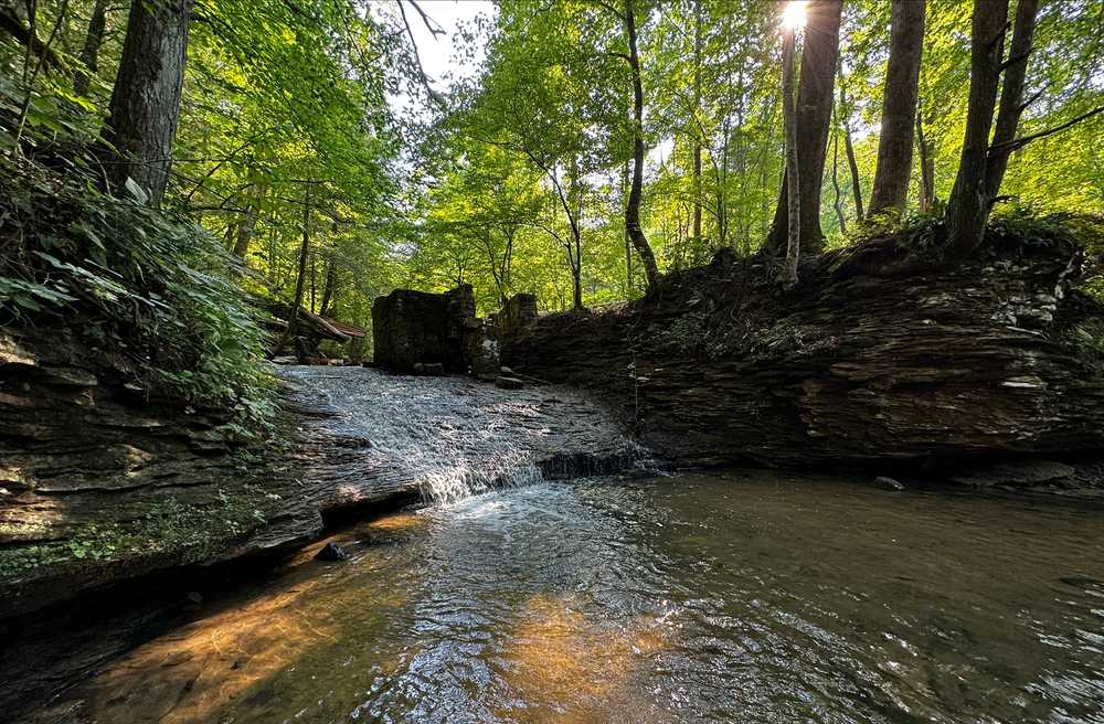Park Image 5