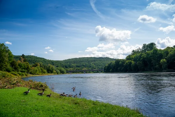 Kittatinny's K-Camp Campground – photo 1