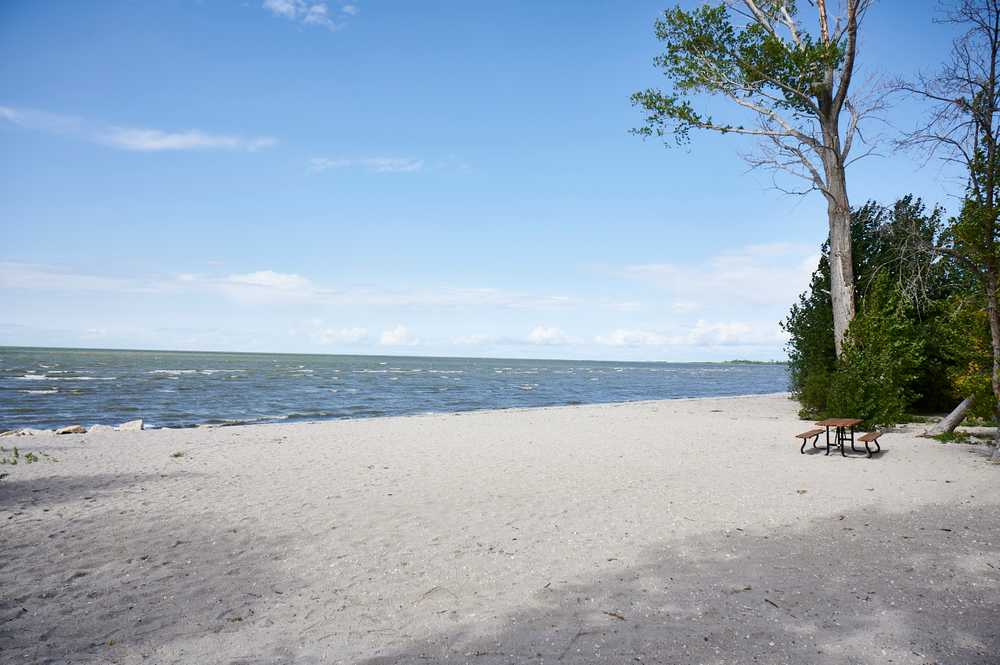Surfside Beach RV Park - Photo 2
