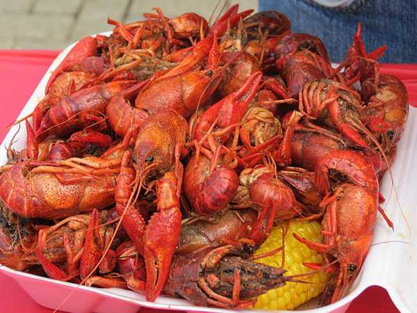 Crawfish and Music