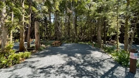 Old Growth Loop — image 2 of 23