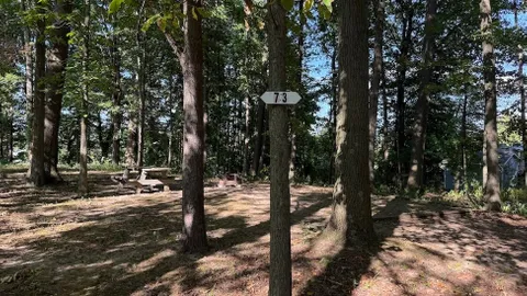 Wooded Tent Site — image 2 of 2