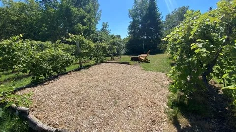 Single Tent - Vineyard — image 6 of 6