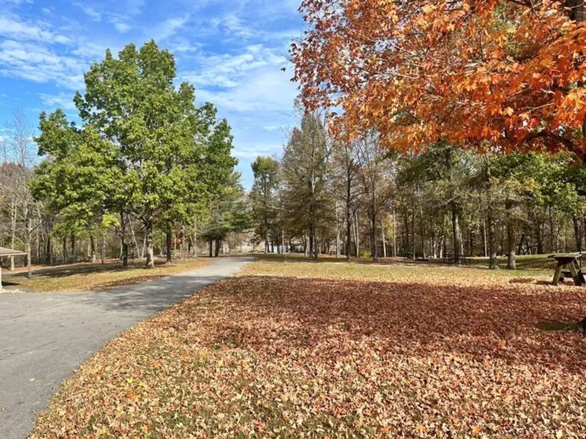 North Fork Campground - McDaniels
