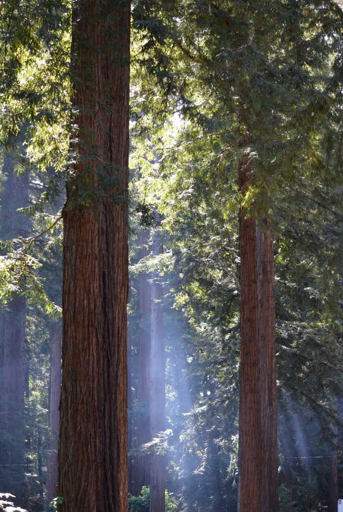 Park Image 20
