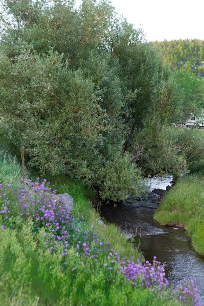 Park Image 10