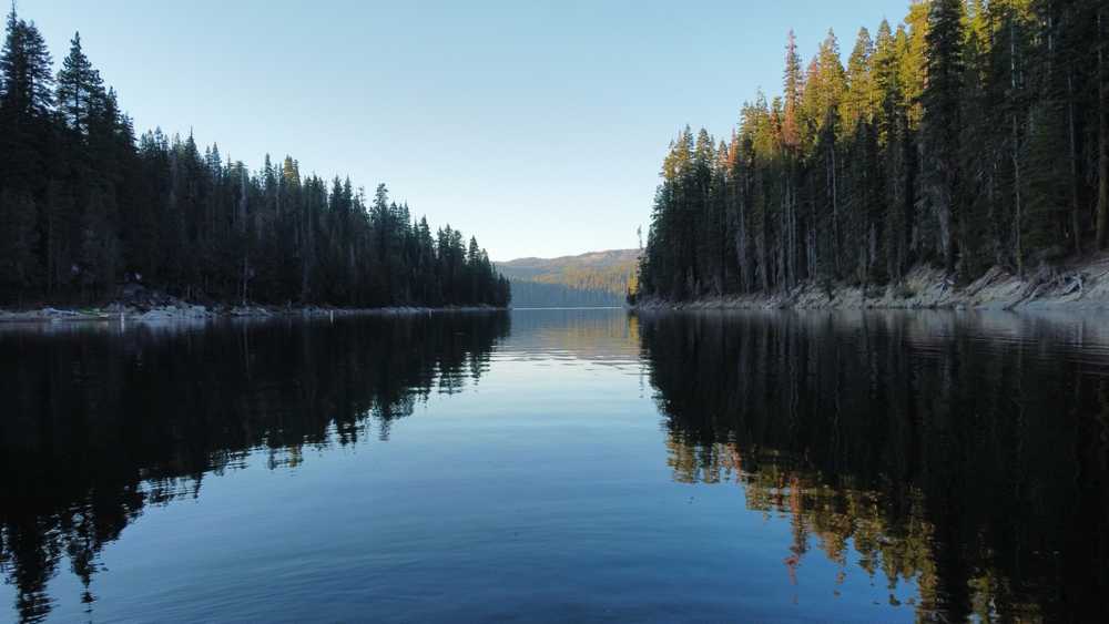 Bucks Lake Camp - Photo 2