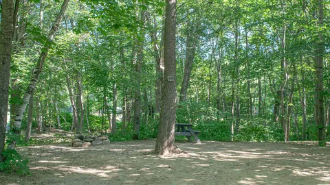 Standard Back-In RV Site — image 1 of 3