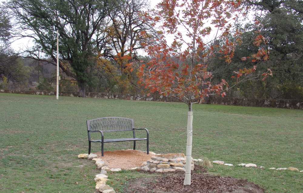 Richards Park - Photo 2