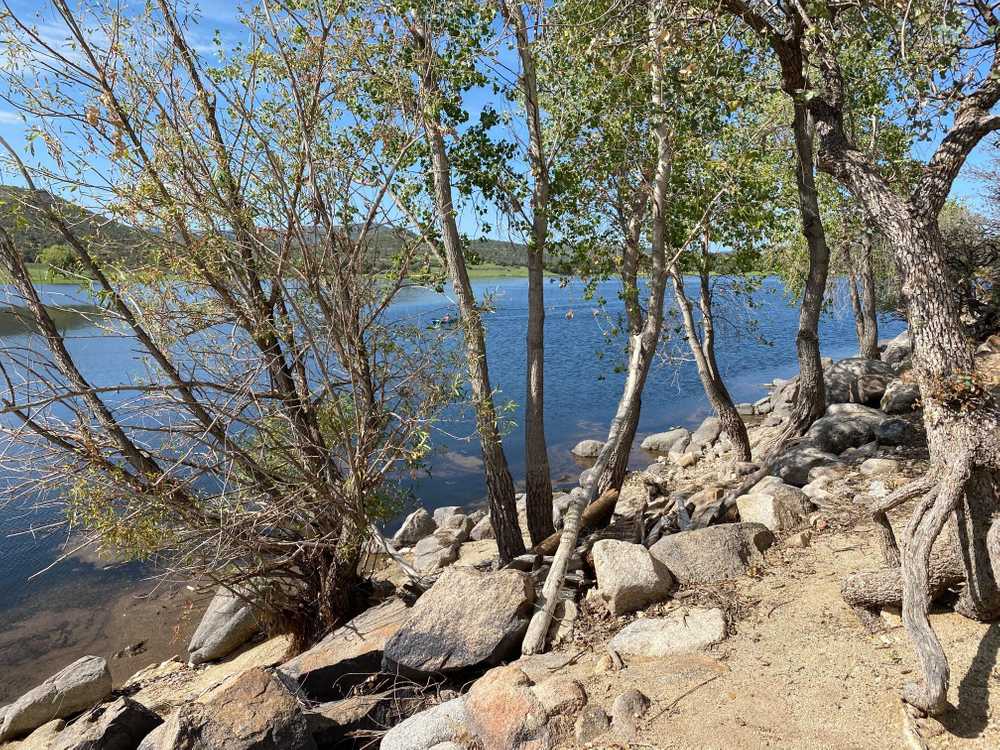 Park Image 11