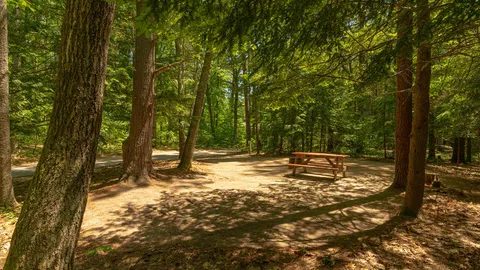 Tent Site — image 2 of 4