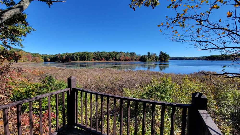 Point Folly - Main Photo