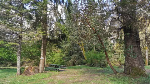 15 Amp Creek Front RV Site — image 3 of 3