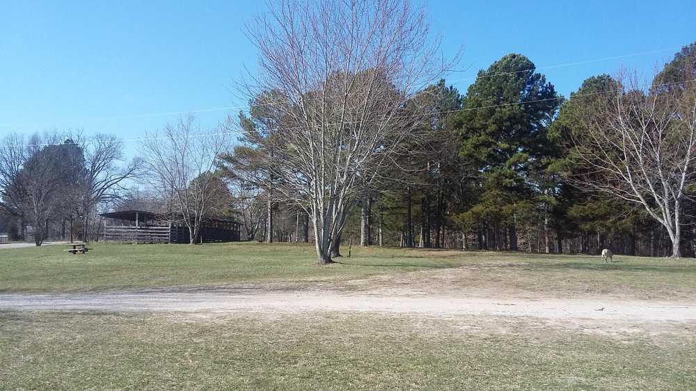 Whispering Pines Campground, Jadwin, Missouri - Photo 5