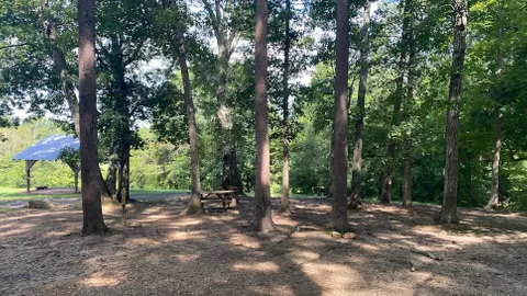 Group Site — image 2 of 4