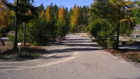 Pine Meadows — image 1 of 7