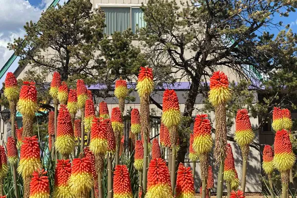 Rancheros de Santa Fe Campground – photo 1