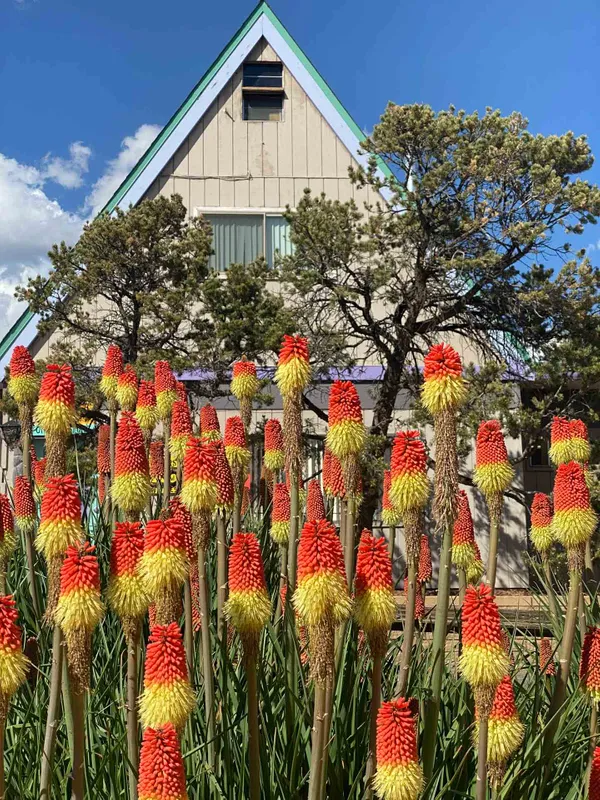 Rancheros de Santa Fe Campground - Santa Fe, NM campground