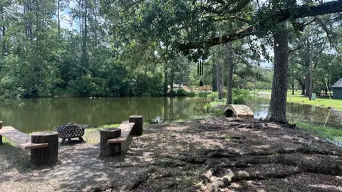 The Cozy Cajun — image 1 of 14