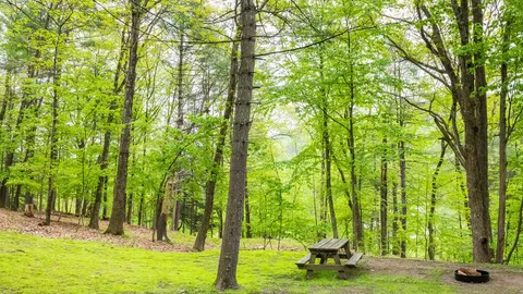 Rustic Tent — image 1 of 4