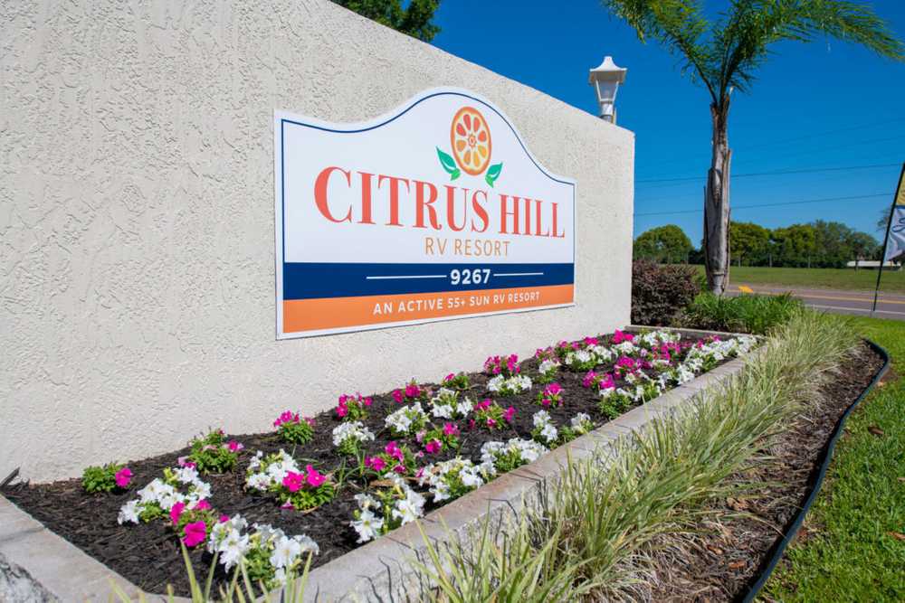 Citrus Hill (Age Restricted 55+) - Photo 2