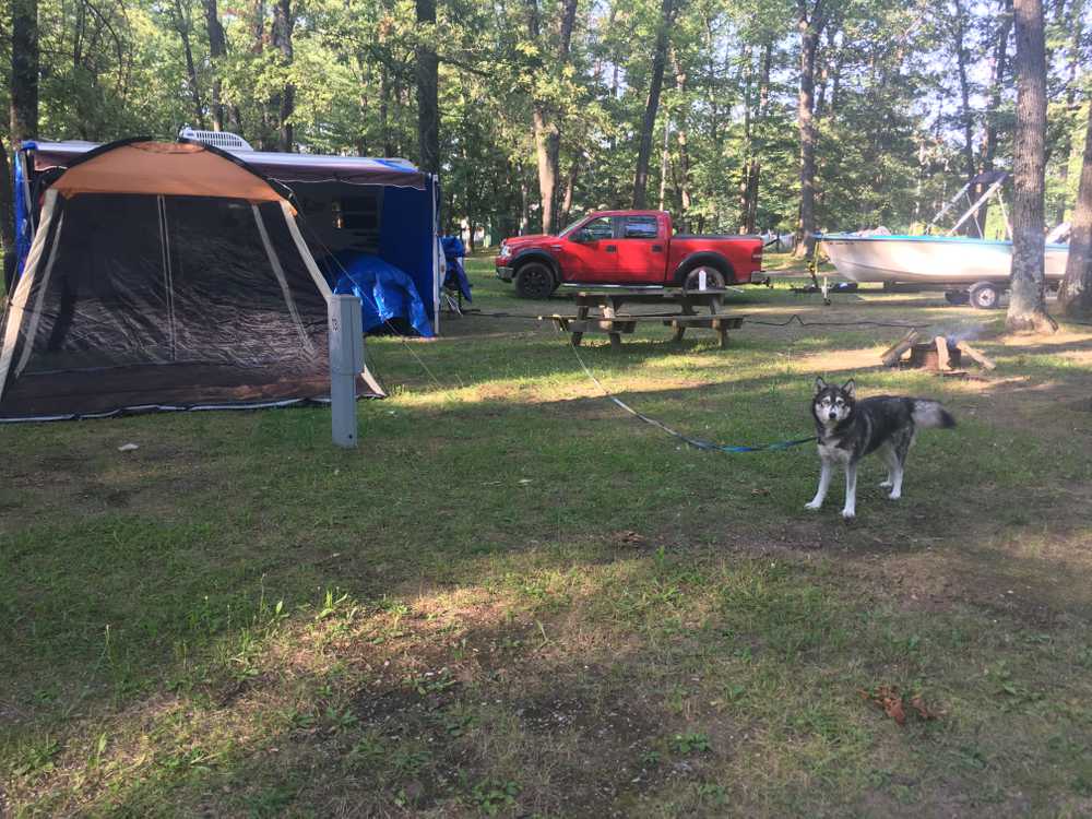 Tippy Dam Campground and Cabins - Photo 4