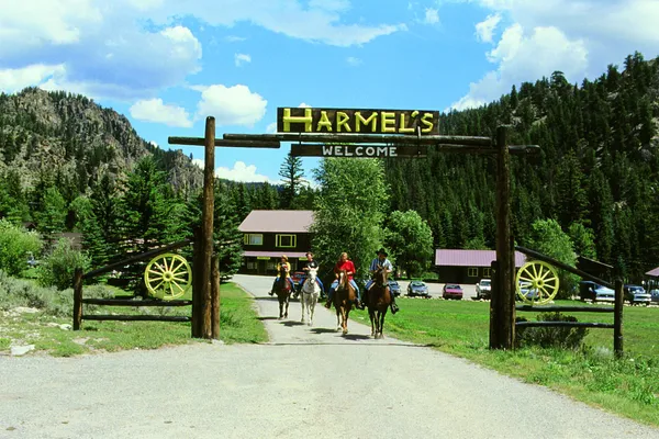Harmels on the Taylor – photo 1