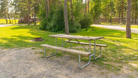Standard Pull Thru Full Hookup RV Site — image 3 of 3