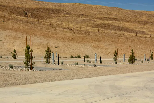 Grapevine RV Resort, Lebec, California campground